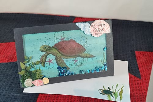 Shaker kaart schildpad
