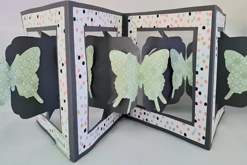 Funfold vlinders