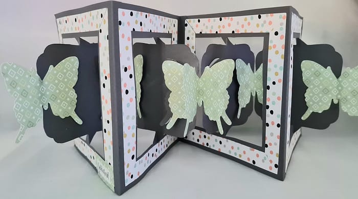 Funfold vlinders